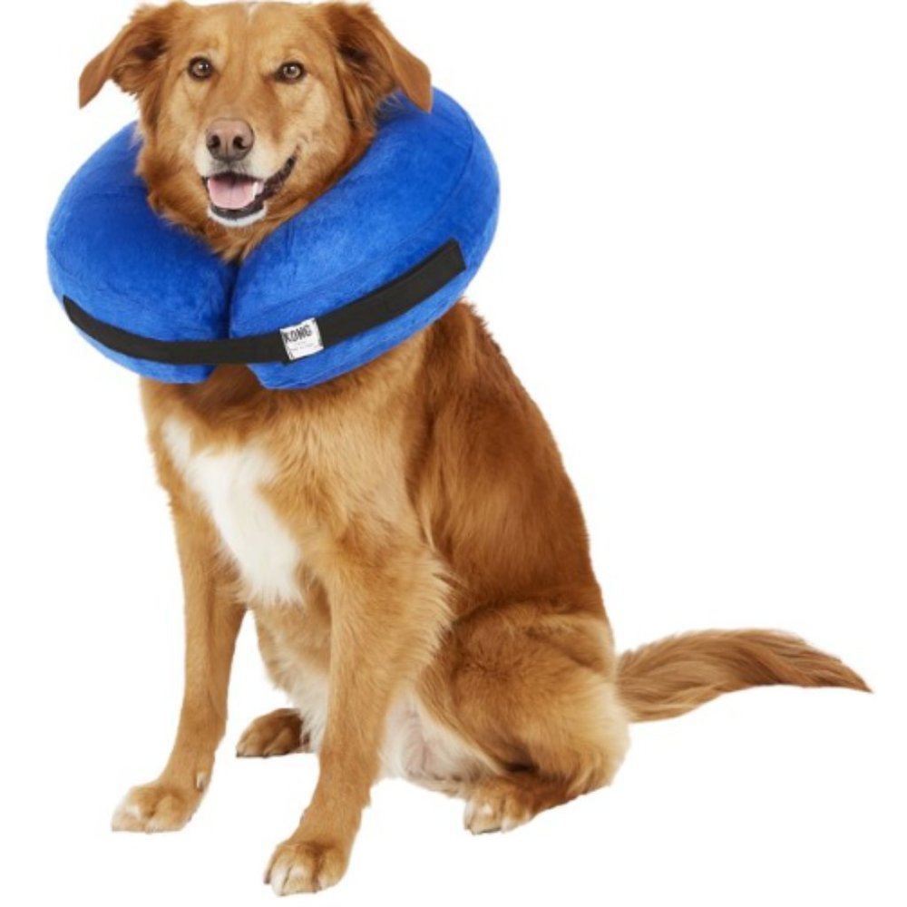 Inflatable Collar for Injuries, Rashes& Post Surgery